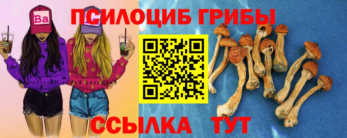 Кулебаки  Псилоцибиновые грибы GOLDEN TEACHER  Вход с VPN 