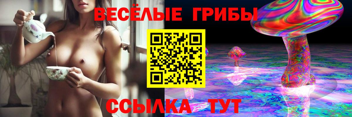 Галлюциногенные грибы мицелий Кулебаки